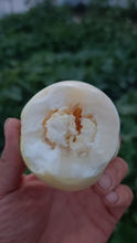 Load image into Gallery viewer, seed of Muskmelons
